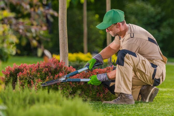 The Best Plants for Shady Areas in Your Backyard