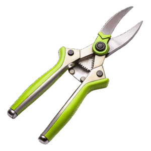 Pruning Sheers