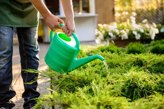 Creative Backyard Landscaping Ideas for Small